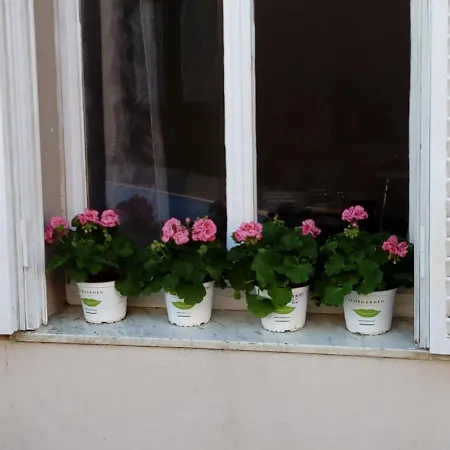 Bed & Breakfast Borgo San Pietro Arzachena