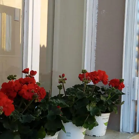 Bed & Breakfast Borgo San Pietro Arzachena